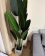 HXGYZP Nearly Natural Artificial Plant, Green Cheap