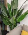 HXGYZP Nearly Natural Artificial Plant, Green Cheap