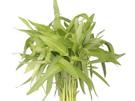 Water spinach - White For Discount