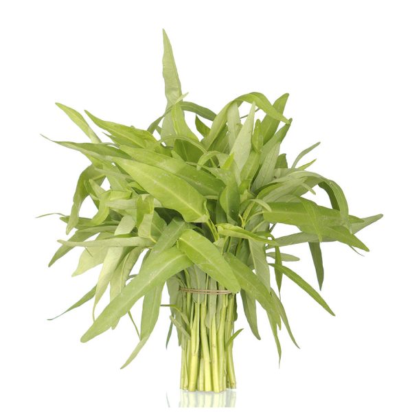 Water spinach - White For Discount