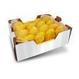 ATAULFO MANGO (Yellow Case) Online