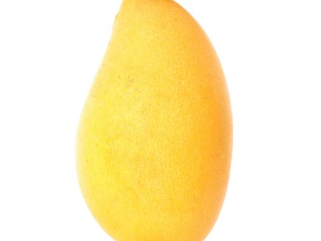 ATAULFO MANGO Supply