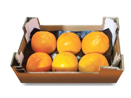 Hachiya Persimmons in case Online Sale