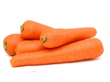 FRESH CARROTS Hot on Sale