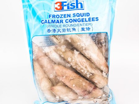 3Fish SQUID CALAMARI For Cheap