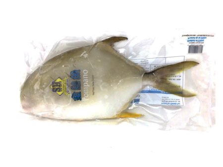 SH Frozen Golden Pompano Fashion