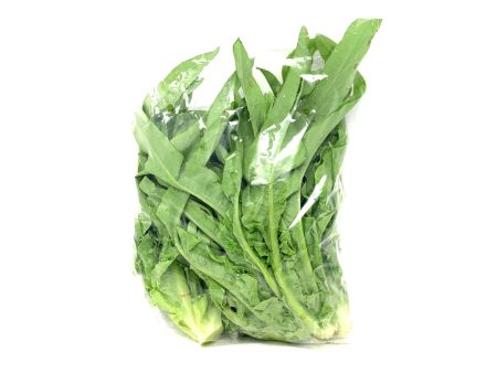 A CHOY on Sale