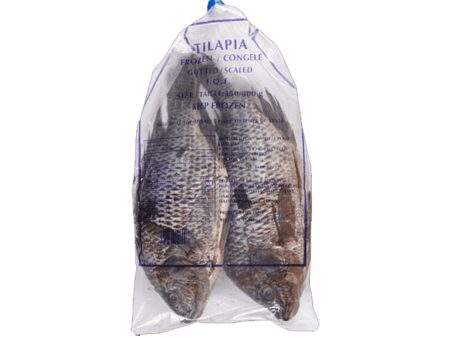 Arctic Ocean Tilapia Hot on Sale