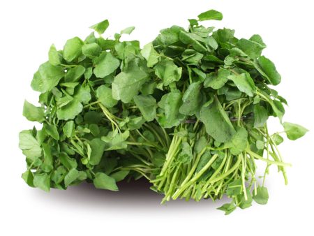 FRESH WATERCRESS Hot on Sale