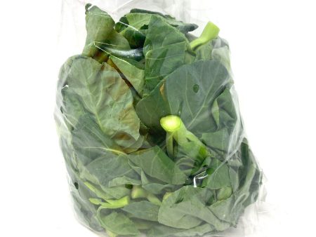 GAI LAN Tips For Discount