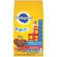 Pedigree Complete Nutrition 3.5 Lb. Grilled Steak & Vegetable Dry Puppy Food Cheap