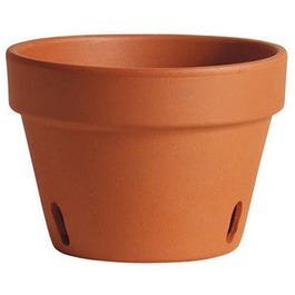 Orchid Pot, Terra Cotta Clay, 8-In. For Cheap