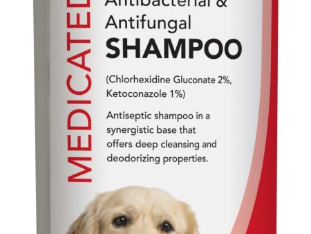 Durvet Medicated Antibacterial and Antifungal Shampoo Fashion