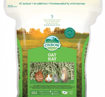 Oxbow Oat Hay (15-oz) For Sale