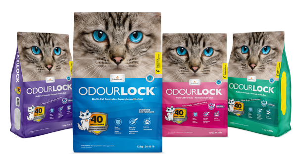 Intersand Odourlock Ultra premium multi-cat litter formula on Sale