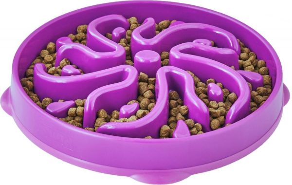 Outward Hound Dog Games Slo Bowl Slow Feeders Flower Design Dog Bowl on Sale