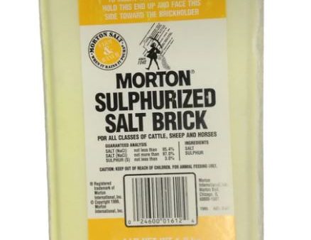 Sulfur Salt Brick (4 lb) For Sale