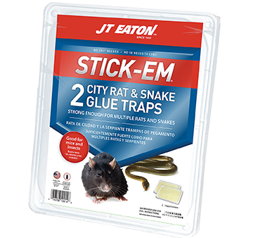 JT Eaton  Stick-Em® City Rat and Snake Glue Trap Online