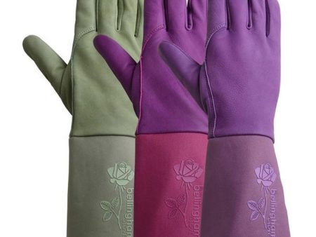 Bellingham® Tuscany™ Gauntlet Gloves (Purple) Online Sale