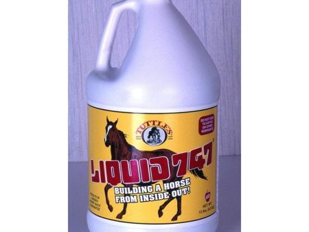 Y-TEX TUTTLE S LIQUID 747 FEED SUPPLEMENT FOR HORSES (1 GAL, APPLE) Hot on Sale