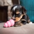 KONG Puppy Toy For Cheap