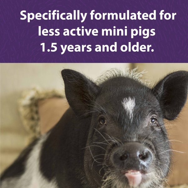 Mazuri® Mini Pig Mature Maintenance Feed Fashion