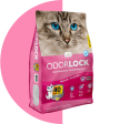 Intersand Odourlock Ultra premium multi-cat litter formula on Sale