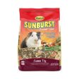 HIGGINS SUNBURST GOURMET BLEND GUINEA PIG Fashion