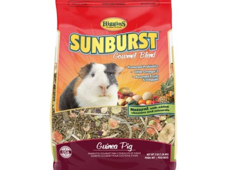 HIGGINS SUNBURST GOURMET BLEND GUINEA PIG Fashion