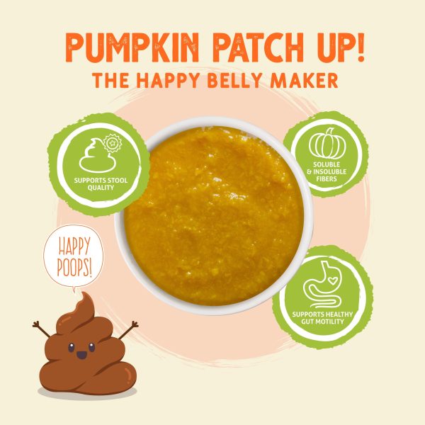 Weruva Pumpkin Patch Up!, Pumpkin with Ginger & Turmeric for Dogs & Cats Fashion