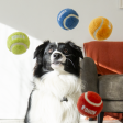 KONG Sport Softies Ball Assorted Dog Toy Sale