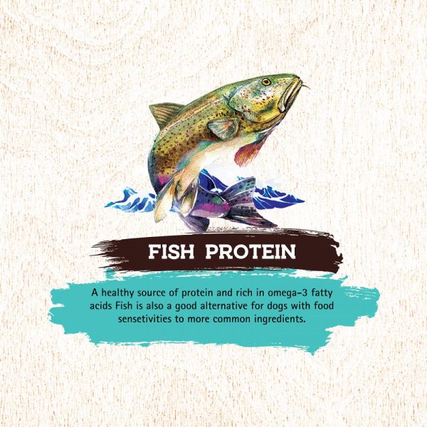 Inception Fish Recipe Dry Dog Food For Discount